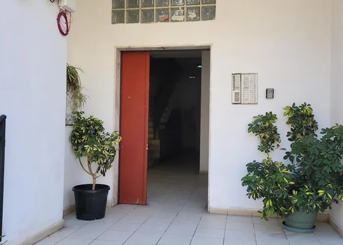 Rudi 2 In Tirana